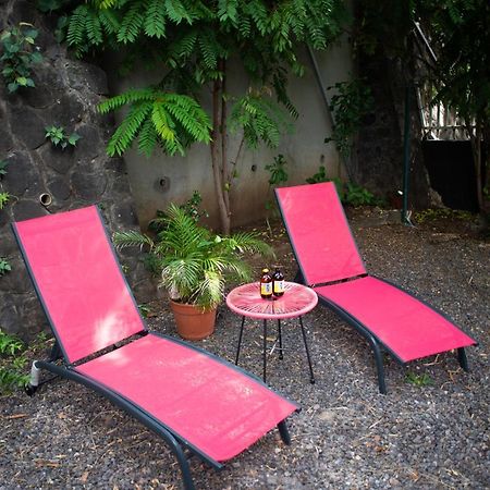 Le Bambou T3 Centre Ville Sainte Clotilde Rez De Jardin Bois de Nefles  Kültér fotó