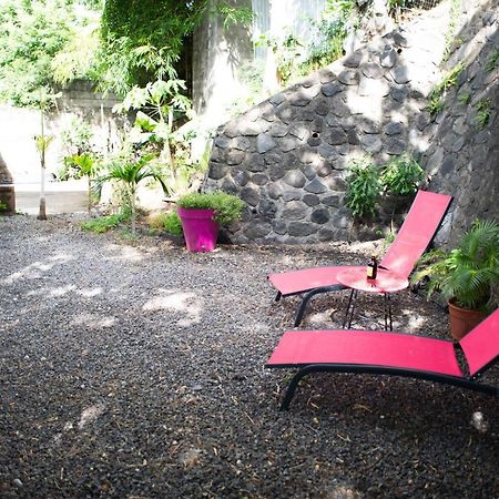 Le Bambou T3 Centre Ville Sainte Clotilde Rez De Jardin Bois de Nefles  Kültér fotó